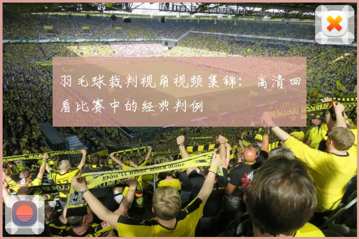 羽毛球裁判视角视频集锦:高清回看比赛中的经典判例